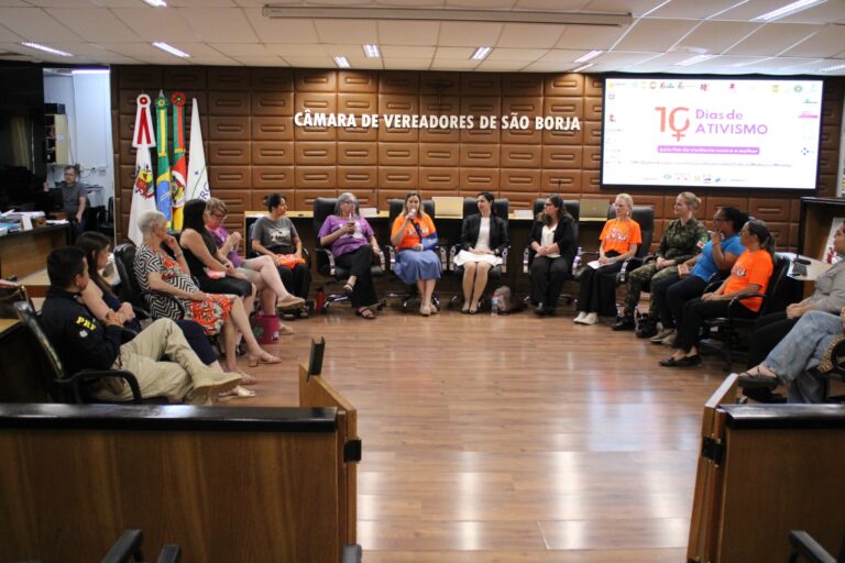 CAMPANHA 16 DIAS DE ATIVISMO 2025